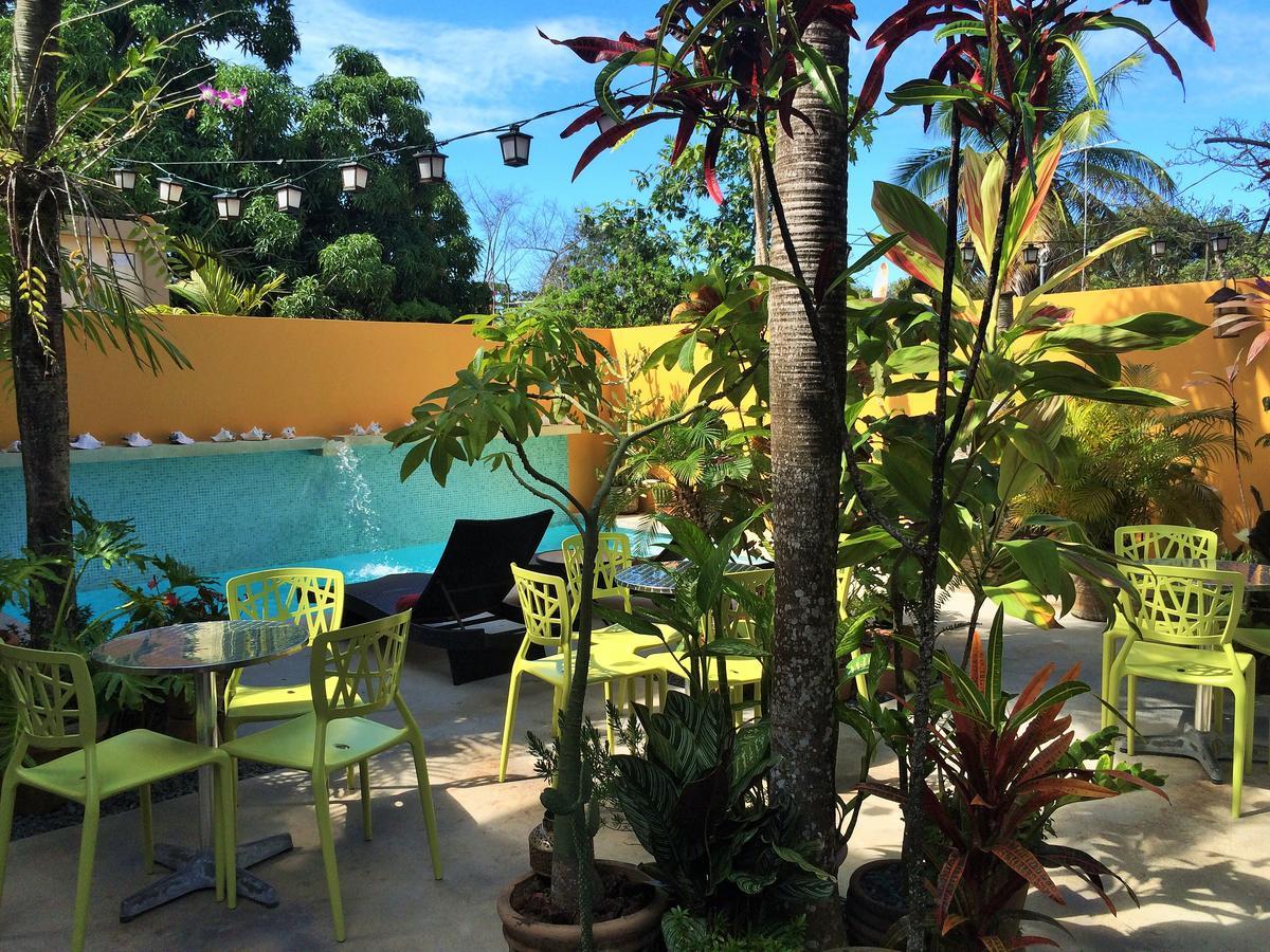 Casa De Amistad Guesthouse 别克斯 外观 照片